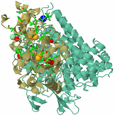 Image Asym./Biol. Unit - sites