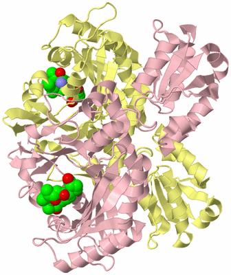 Image Biological Unit 2