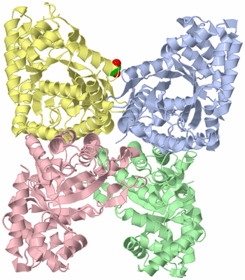 Image Asym./Biol. Unit