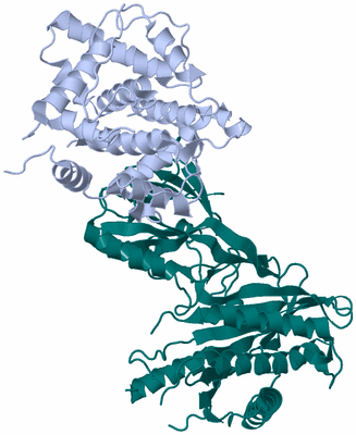 Image Asym./Biol. Unit