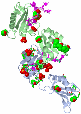 Image Asym./Biol. Unit - sites