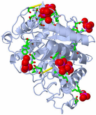 Image Biol. Unit 1 - sites