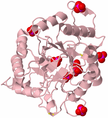 Image Biological Unit 3