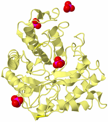 Image Biological Unit 4