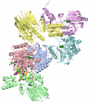 Image Asym./Biol. Unit