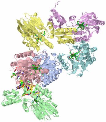 Image Asym./Biol. Unit - sites