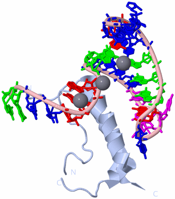 Image Biological Unit 1