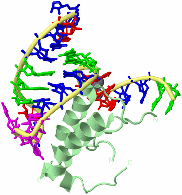 Image Biological Unit 2