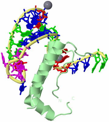 Image Biological Unit 2