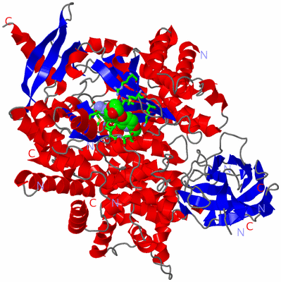 Image Asym./Biol. Unit - sites