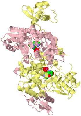 Image Biological Unit 2