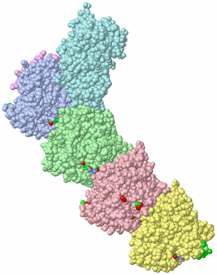 Image Asym./Biol. Unit - sites