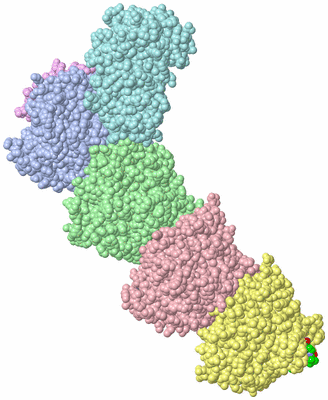 Image Asym./Biol. Unit