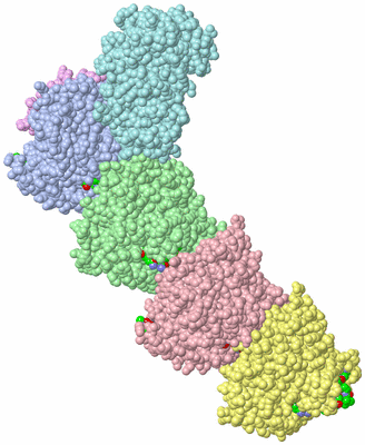 Image Asym./Biol. Unit - sites