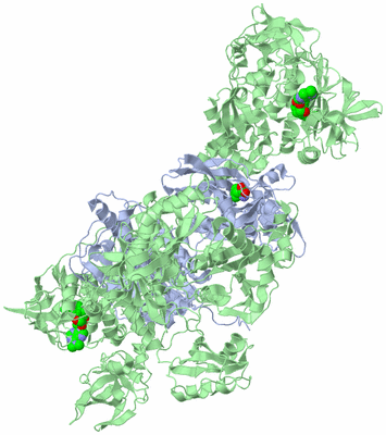 Image Biological Unit 1