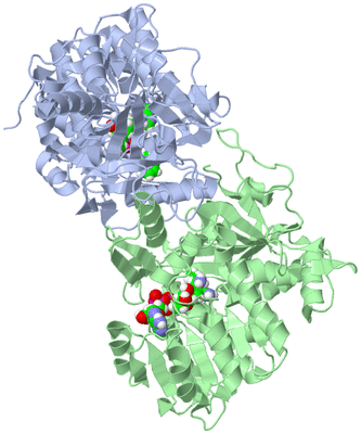 Image Asym./Biol. Unit