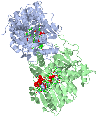 Image Asym./Biol. Unit - sites