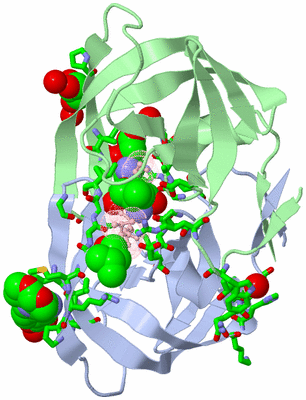 Image Asym./Biol. Unit - sites