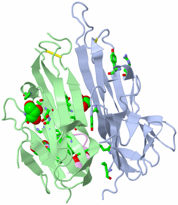 Image Biol. Unit 1 - sites