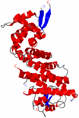 Image Asym./Biol. Unit