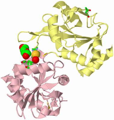 Image Biol. Unit 1 - sites