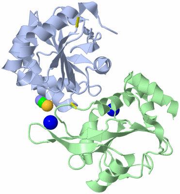 Image Biological Unit 2