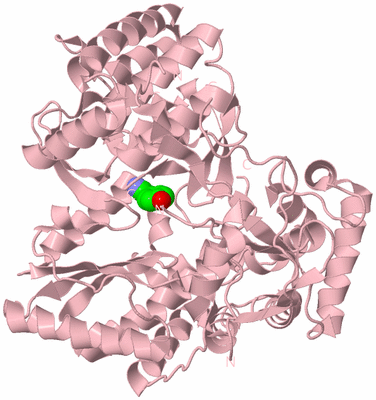 Image Biological Unit 3