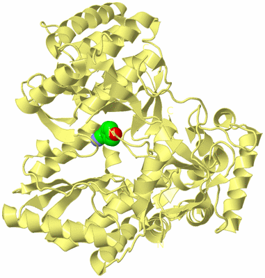 Image Biological Unit 4