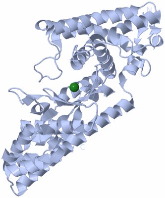 Image Biological Unit 1