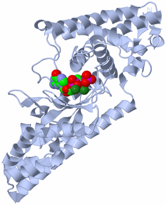 Image Biological Unit 1