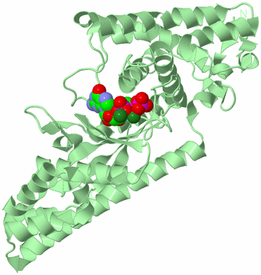 Image Biological Unit 2