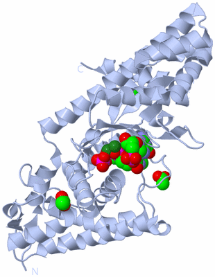 Image Biological Unit 1