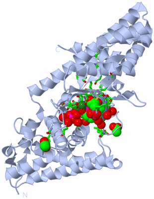 Image Biol. Unit 1 - sites