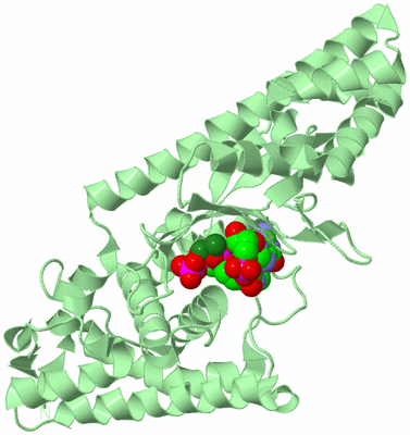 Image Biological Unit 2