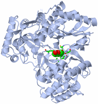 Image Biol. Unit 1 - sites