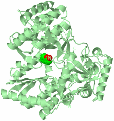 Image Biological Unit 2