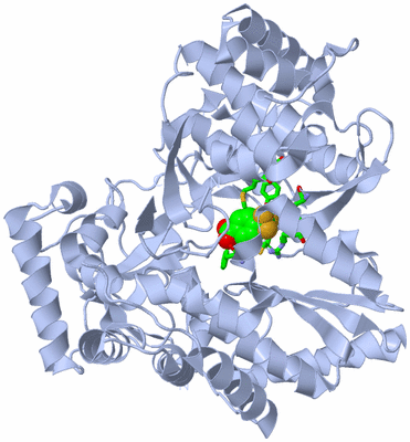 Image Biol. Unit 1 - sites