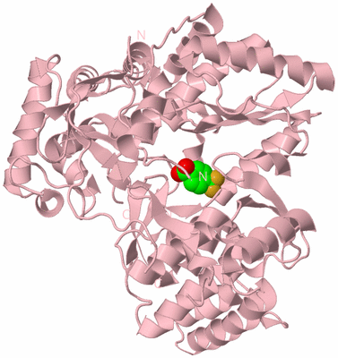 Image Biological Unit 3