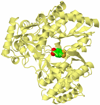 Image Biological Unit 4