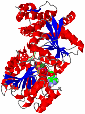 Image Asym./Biol. Unit