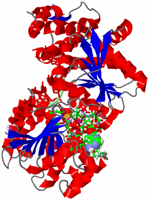 Image Asym./Biol. Unit - sites