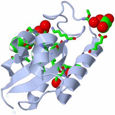 Image Biol. Unit 1 - sites