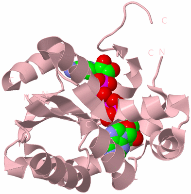 Image Biological Unit 1