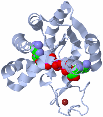 Image Biological Unit 3