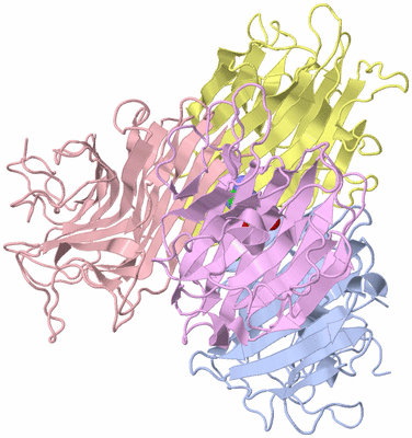 Image Biological Unit 1