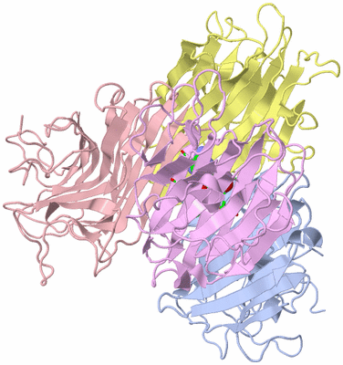 Image Biol. Unit 1 - sites