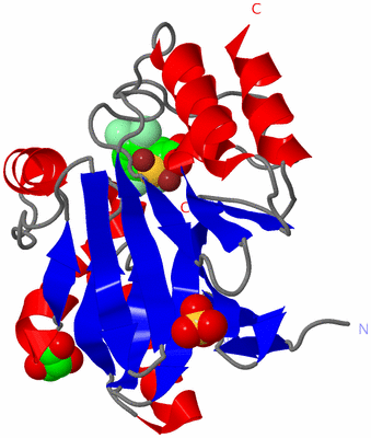 Image Asym./Biol. Unit