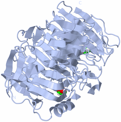 Image Biological Unit 1