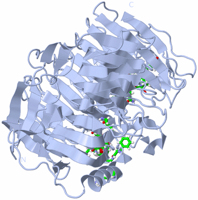 Image Biol. Unit 1 - sites