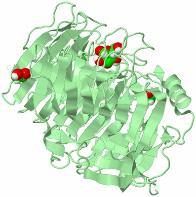 Image Biological Unit 2